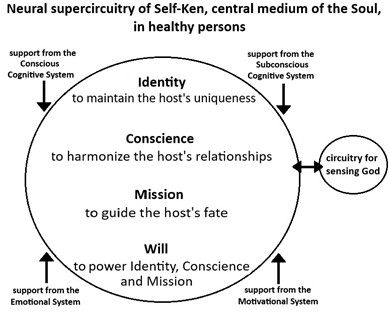 Schematic diagram of the normal Self-Ken with its domains of Identity, Conscience, Mission and Will, along with its associated neural systems including the human-specific circuitry of sensing God.