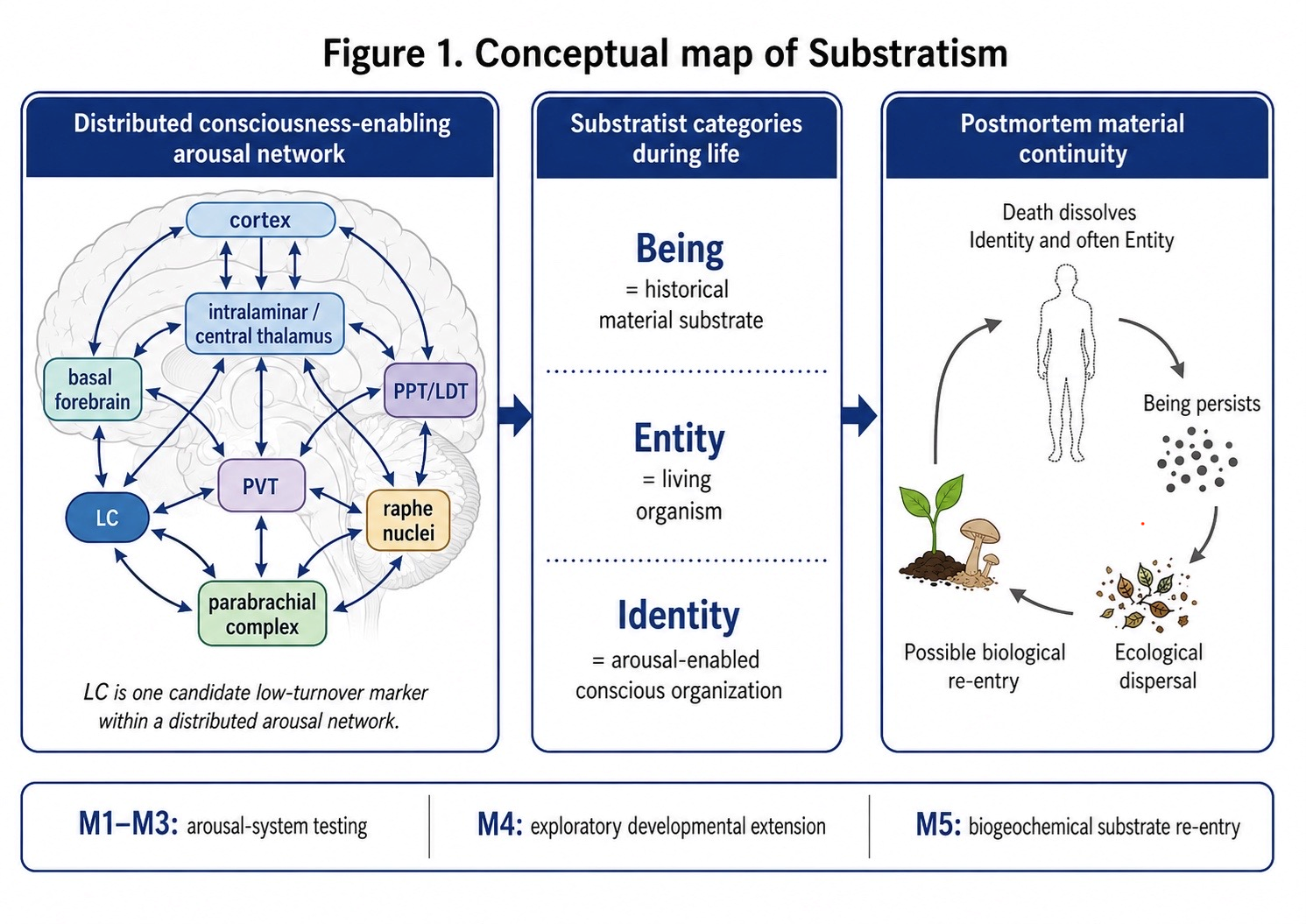 Conceptual map of Substratism showing distributed arousal network and five methodological modules