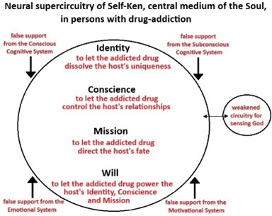 Schematic diagram of the substance-abused Self-Ken and its associated neural systems, with the pathophysiological changes in their functions indicated with red letters.